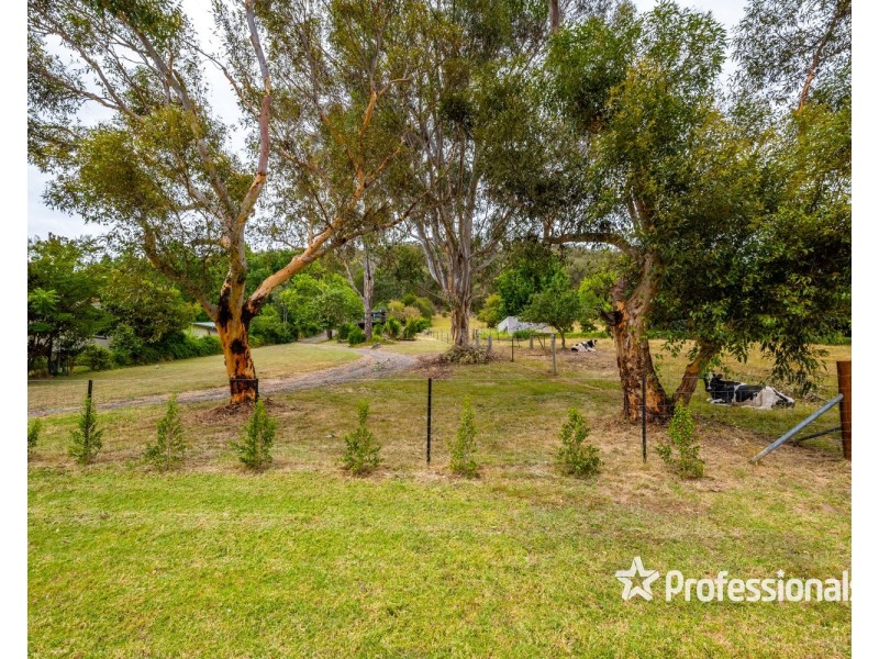 323 Buffalo River Road, Buffalo River VIC 3737