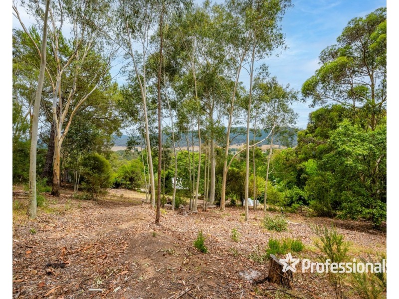 323 Buffalo River Road, Buffalo River VIC 3737