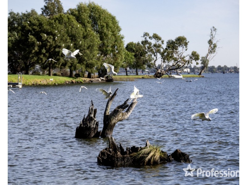 65 Robinson Way, Yarrawonga VIC 3730