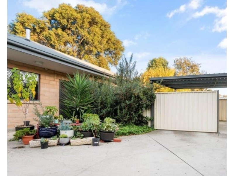 206B Olive Street, Albury NSW 2640