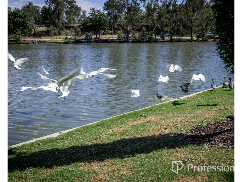 32 Church Street, Wodonga VIC 3690