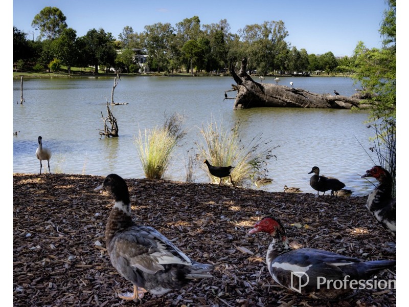 32 Church Street, Wodonga VIC 3690