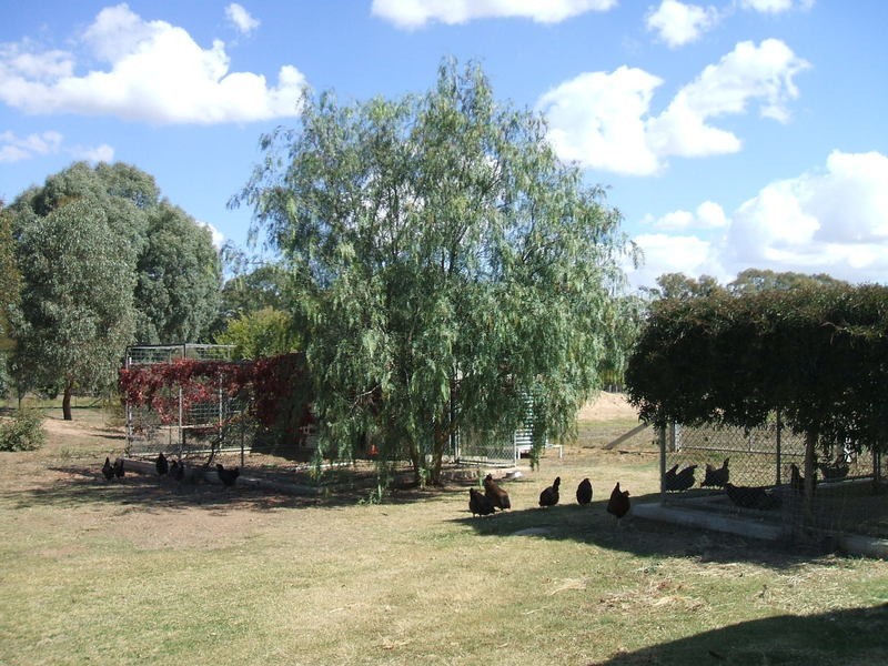 Chiltern VIC 3683