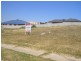 Lot 331 Montclair Avenue, Wodonga VIC 3690