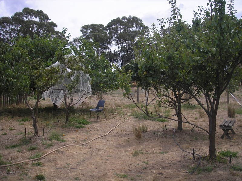 Barnawartha VIC 3688