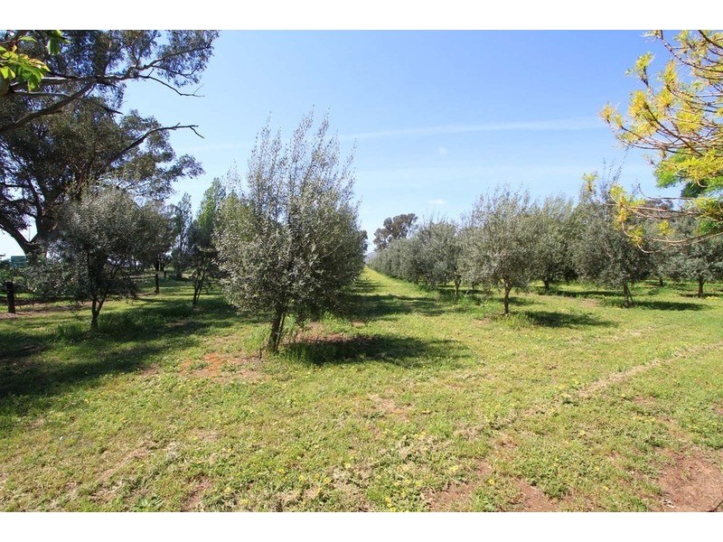 Barnawartha VIC 3688