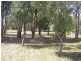17 Donnington Drive, Wodonga VIC 3690