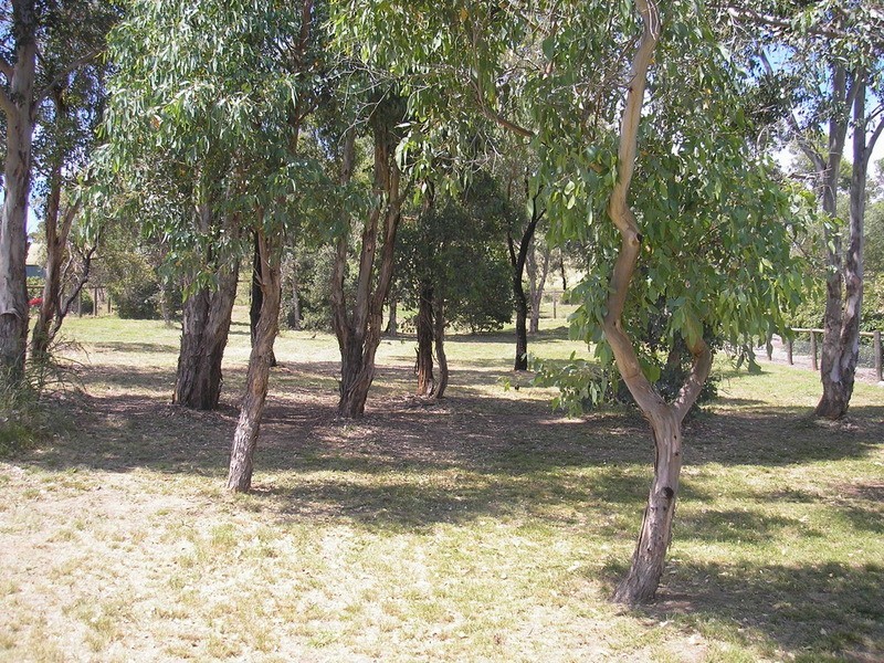 17 Donnington Drive, Wodonga VIC 3690
