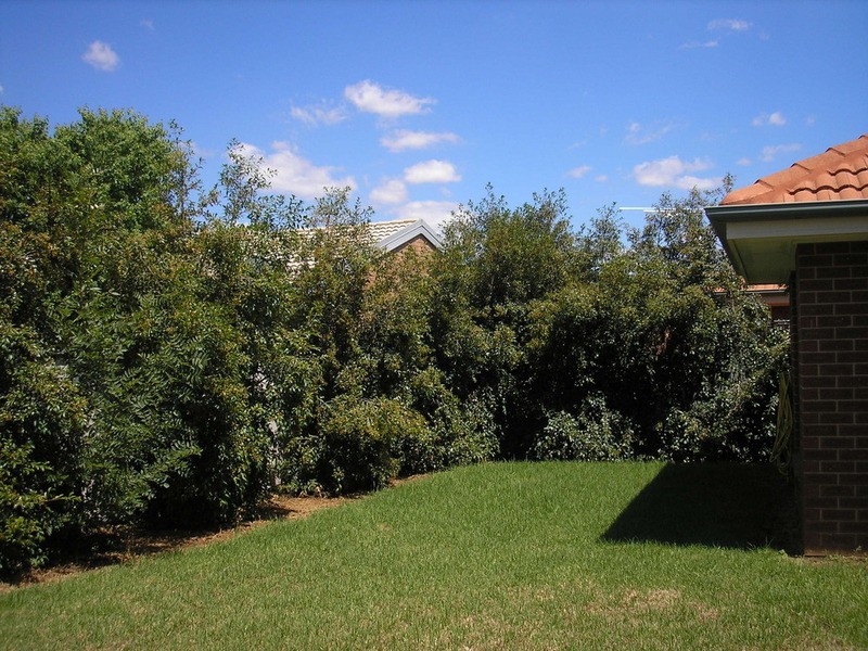 Wodonga VIC 3690