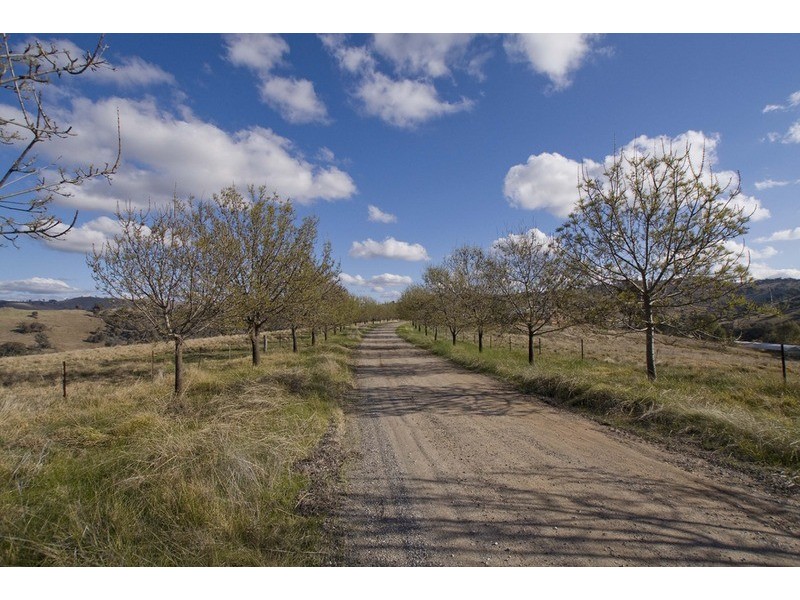 103 Spring Gully Road, Wodonga VIC 3690