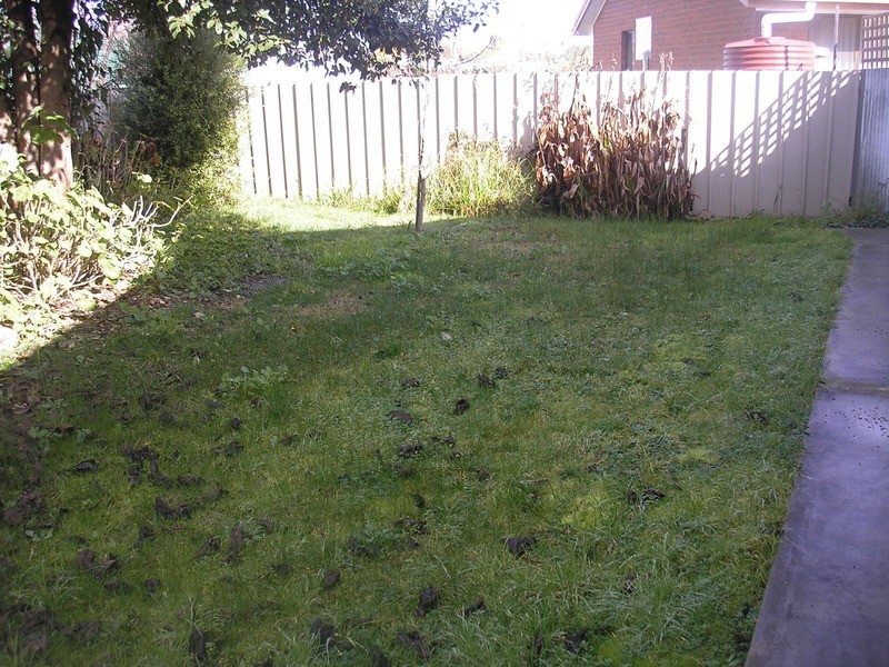 2/56 Albert Road, Chiltern VIC 3683