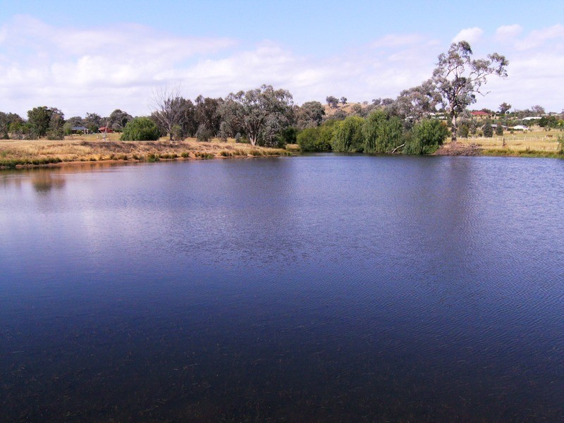 52 Himalaya Drive, Table Top NSW 2640