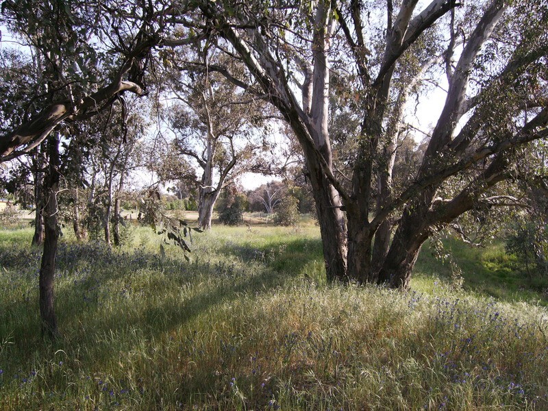 52 Himalaya Drive, Table Top NSW 2640