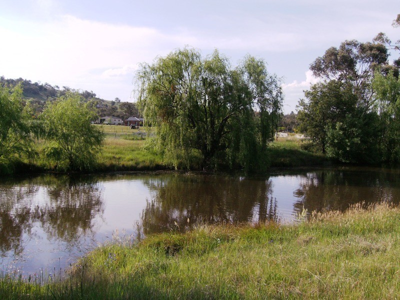 52 Himalaya Drive, Table Top NSW 2640