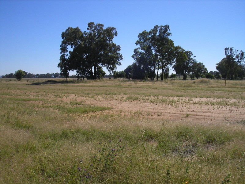 29 Muchas Road, Barnawartha VIC 3688