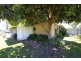 5 Kilgour Street, Chiltern VIC 3683