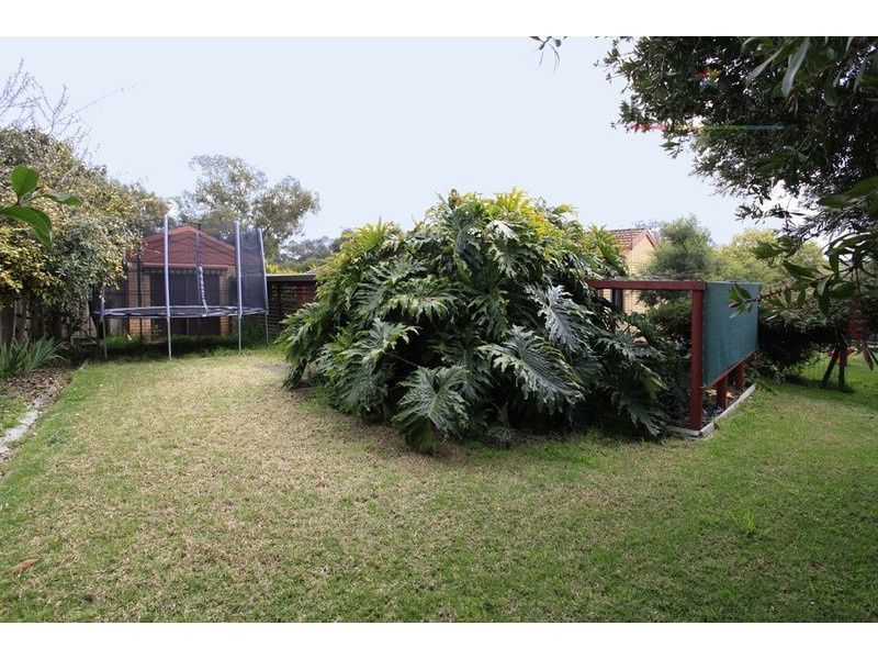 6 Cook Place, Wodonga VIC 3690