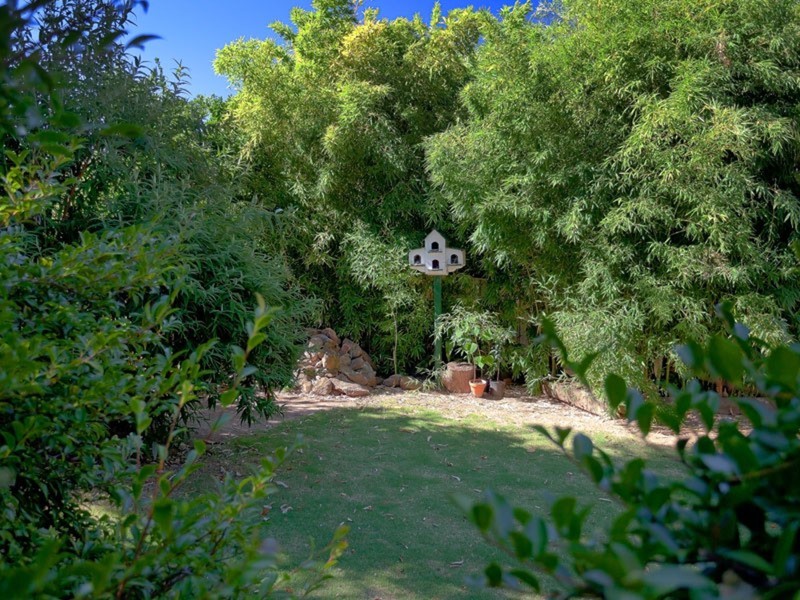 264 Desmond Street, Lavington NSW 2641