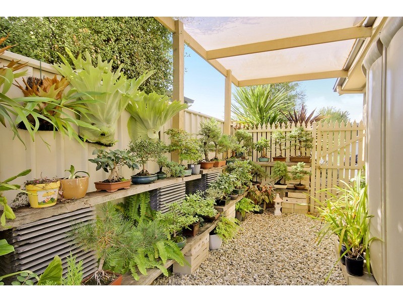 8 Dalton Avenue, Wodonga VIC 3690