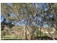 18 Prendergast Street, Wodonga VIC 3690