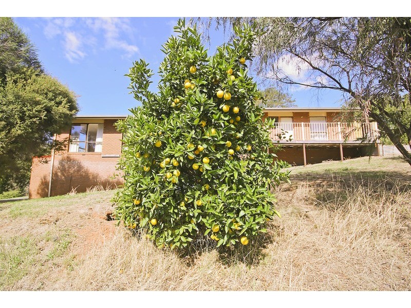 461 Yackandandah Road, Yackandandah VIC 3749