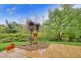 256 Felltimber Creek Road, West Wodonga VIC 3690