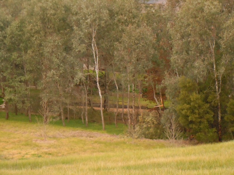 Wodonga VIC 3690