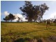 Wodonga VIC 3690