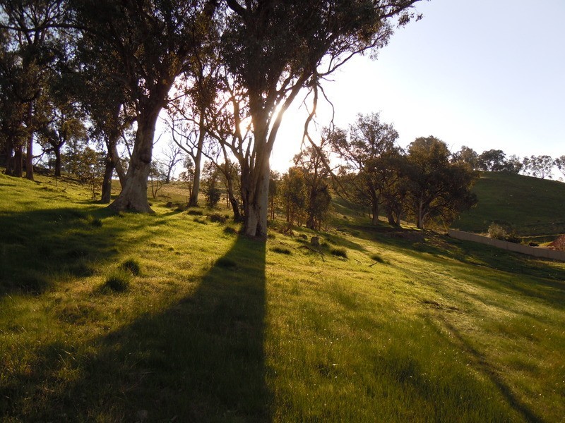 Wodonga VIC 3690