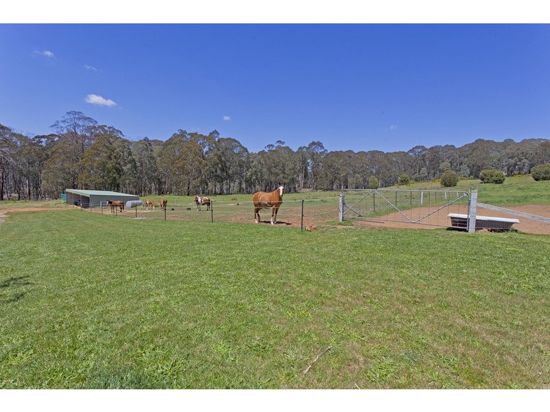 60 Lower Nine Mile Road, Stanley VIC 3747