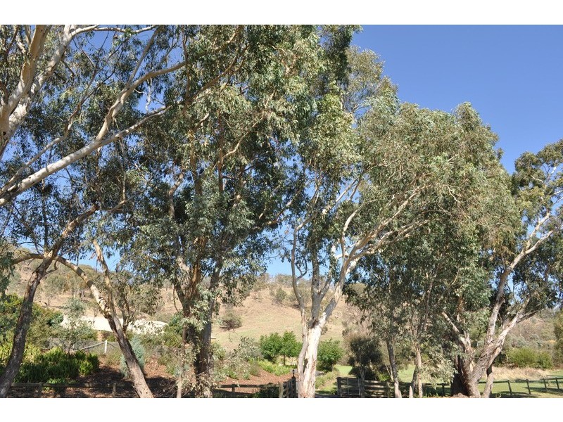 18 Prendergast Street, Wodonga VIC 3690