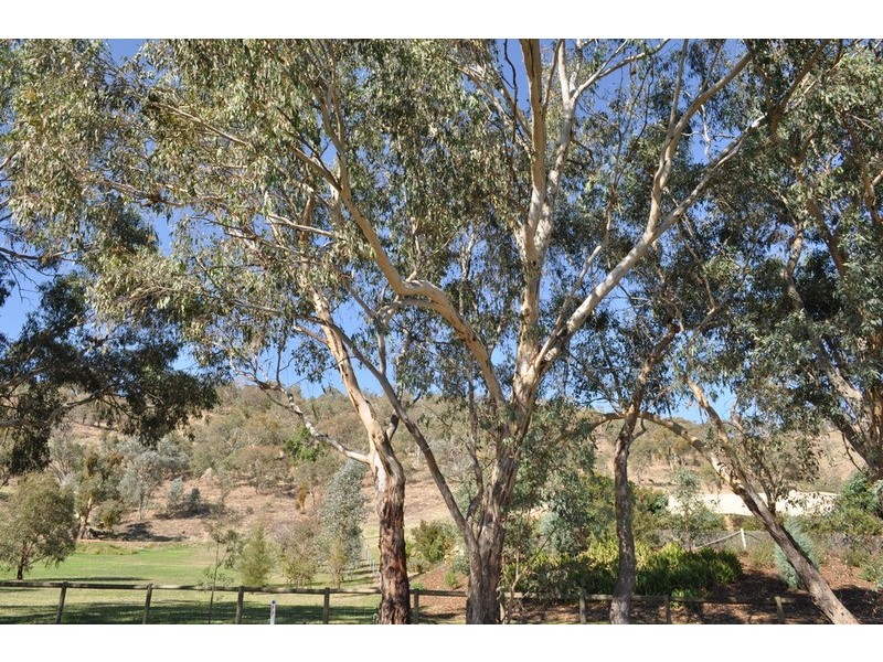 18 Prendergast Street, Wodonga VIC 3690