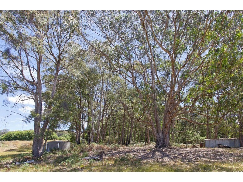 39 Rosengren Lane, Stanley VIC 3747