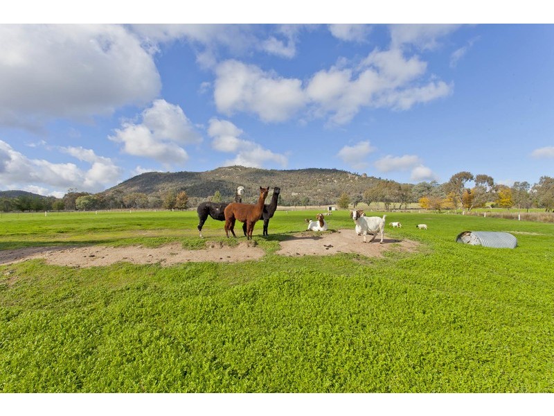 373 Toveys Road, Chiltern VIC 3683