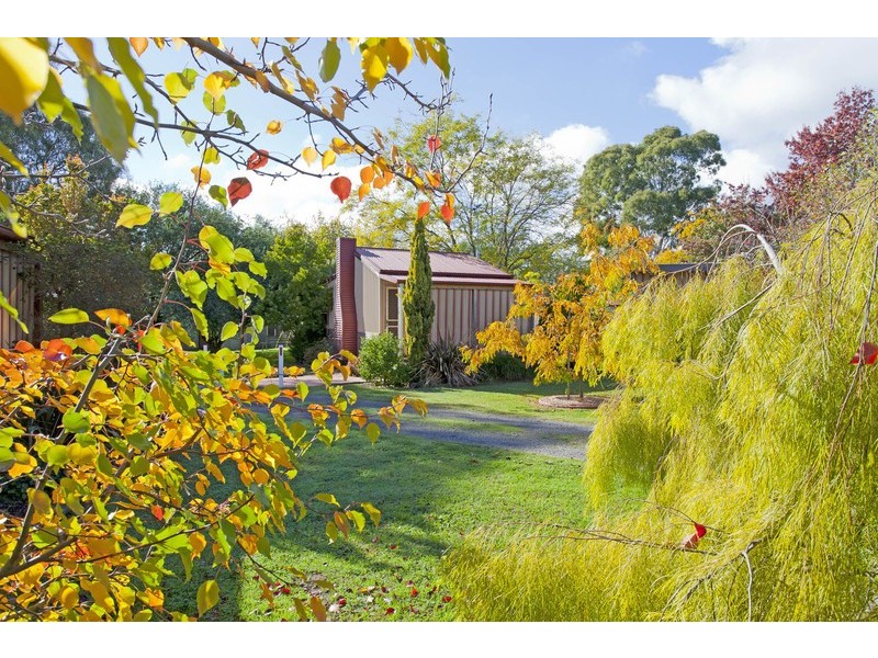 373 Toveys Road, Chiltern VIC 3683