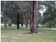 21 Cottlesloe Court, Wodonga VIC 3690