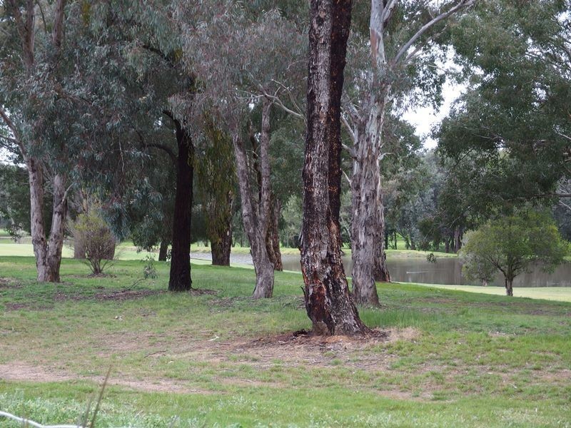 21 Cottlesloe Court, Wodonga VIC 3690