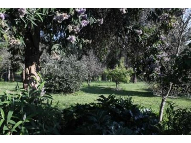 31 Pioneer Road, Stanley VIC 3747