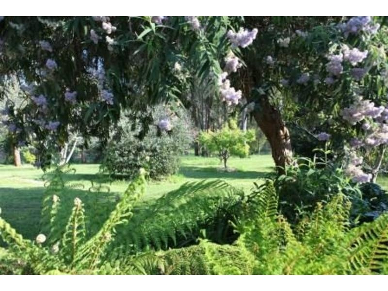 31 Pioneer Road, Stanley VIC 3747