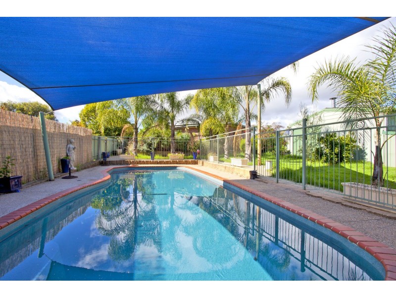 19 Thrush Court, Wodonga VIC 3690