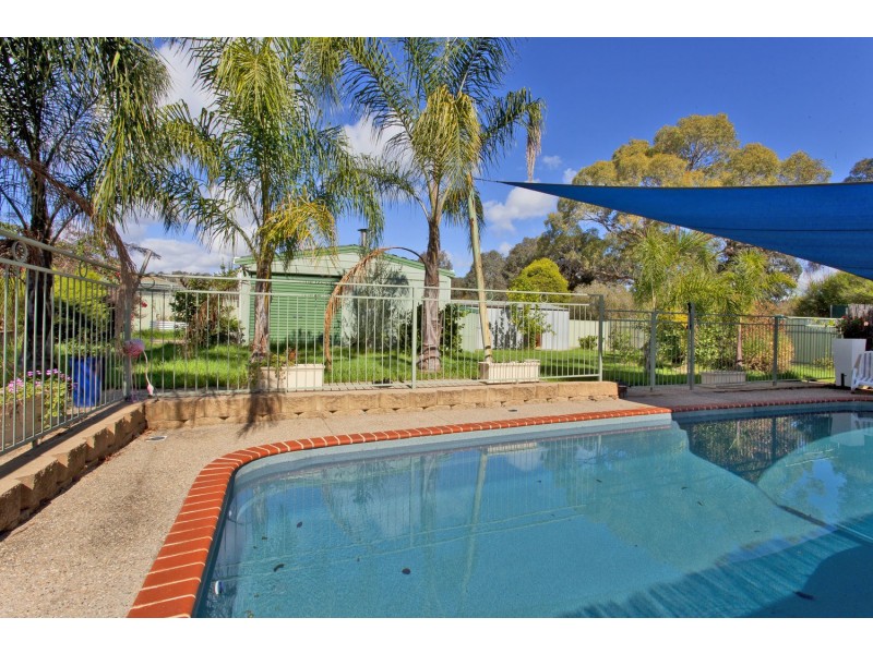 19 Thrush Court, Wodonga VIC 3690