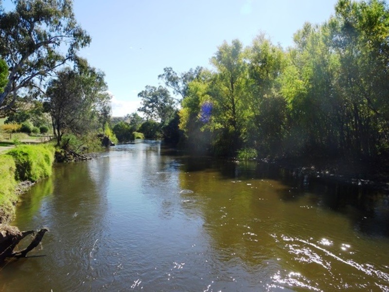 17 Perkins Street, Killara VIC 3691