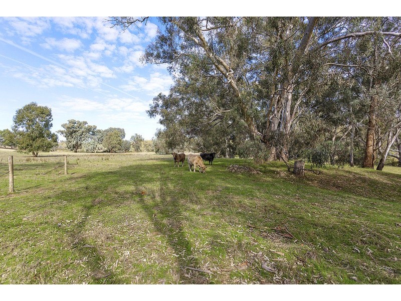 19 Elliots Road, Barnawartha VIC 3688