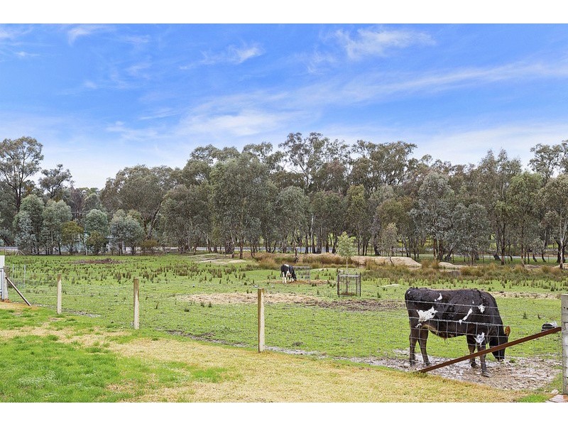 149 Albert Road, Chiltern VIC 3683