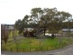 19 Crawford Circuit, Lavington NSW 2641