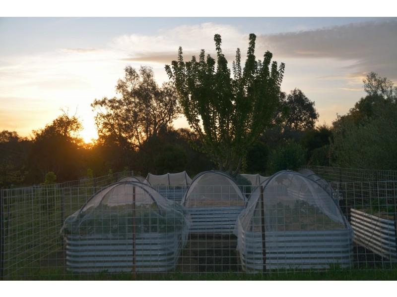 12 Hillandale Court, Wodonga VIC 3690