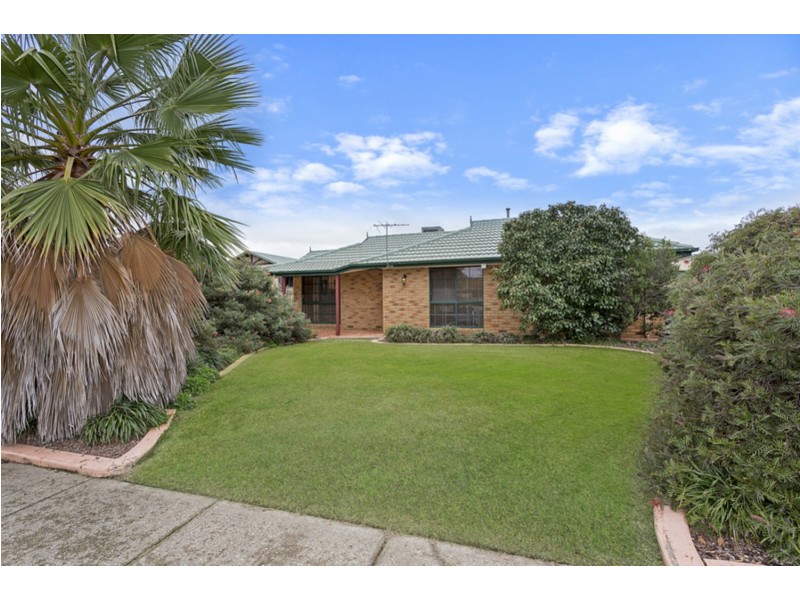 12 Dundee Drive, Wodonga VIC 3690