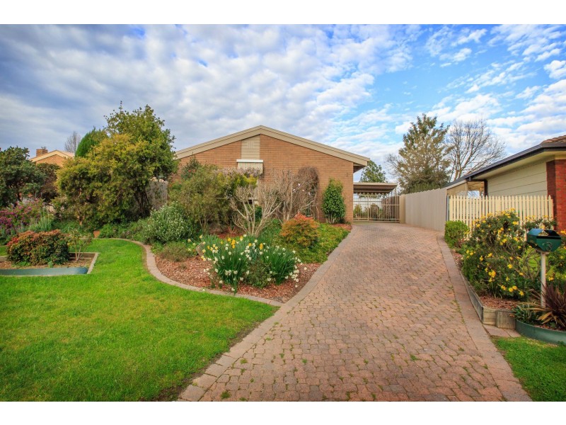 3 Cole Court, Wodonga VIC 3690