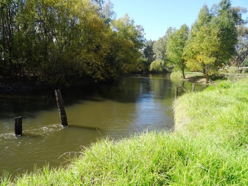 17 Perkins Street, Killara VIC 3691