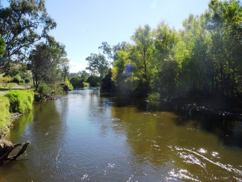 17 Perkins Street, Killara VIC 3691